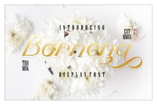 Bornena Script Font: A Sweet Choice for Your Brand Identity