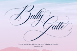 Bully Gatte: A Script Font That Sharpens Campaign Messaging