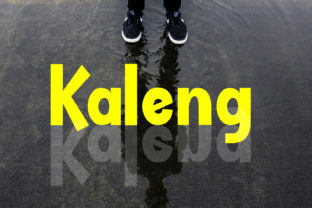 Kaleng: A Playful Sans Serif Font for Campaign Design