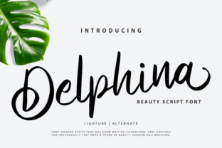 Why Delphina Font Makes Campaign Visuals More Recognizable